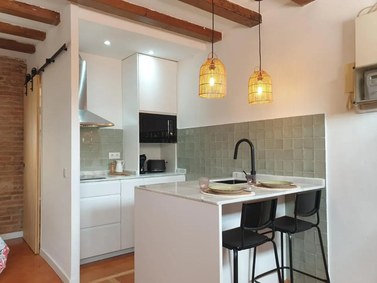 Loft In Barrio De Gracia - Wifi!! Apartment Barcelona Spain